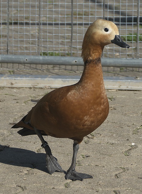 尤其是面对
