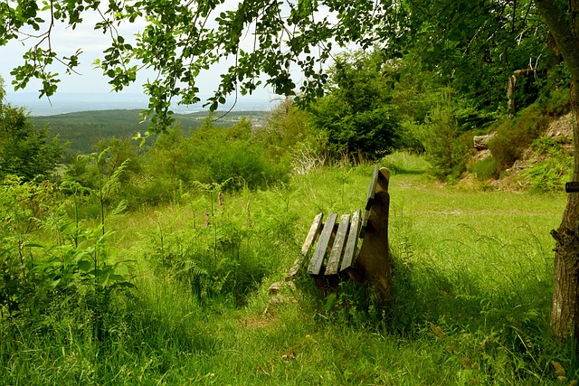 战术逐步瓦 战术逐步瓦