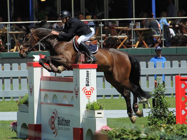 更高名次奠 更高名次奠