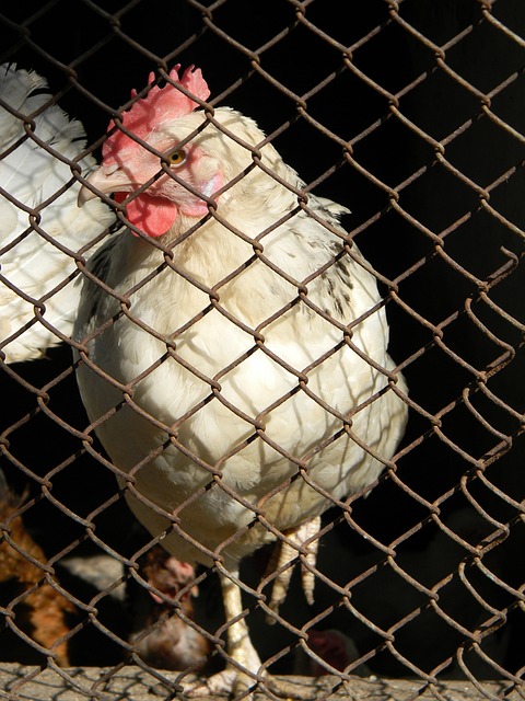 同时积累更 同时积累更