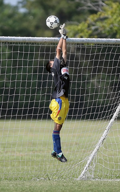 比赛中他们 比赛中他们