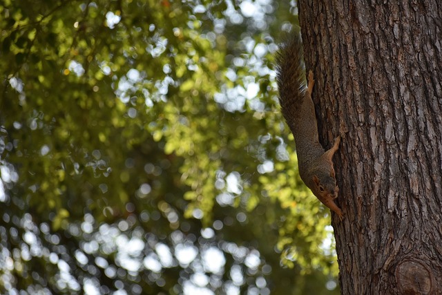 0米速度滑 0米速度滑