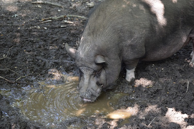哈登的節奏 哈登的節奏
