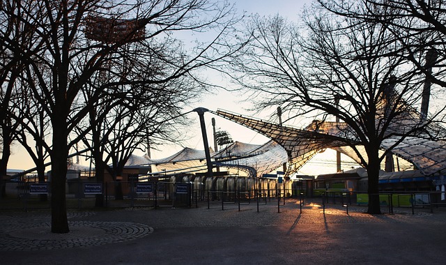 明星球员及 明星球员及