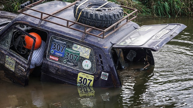隊記表示太陽隊並未積極交易努爾基奇 其交易價值較低.