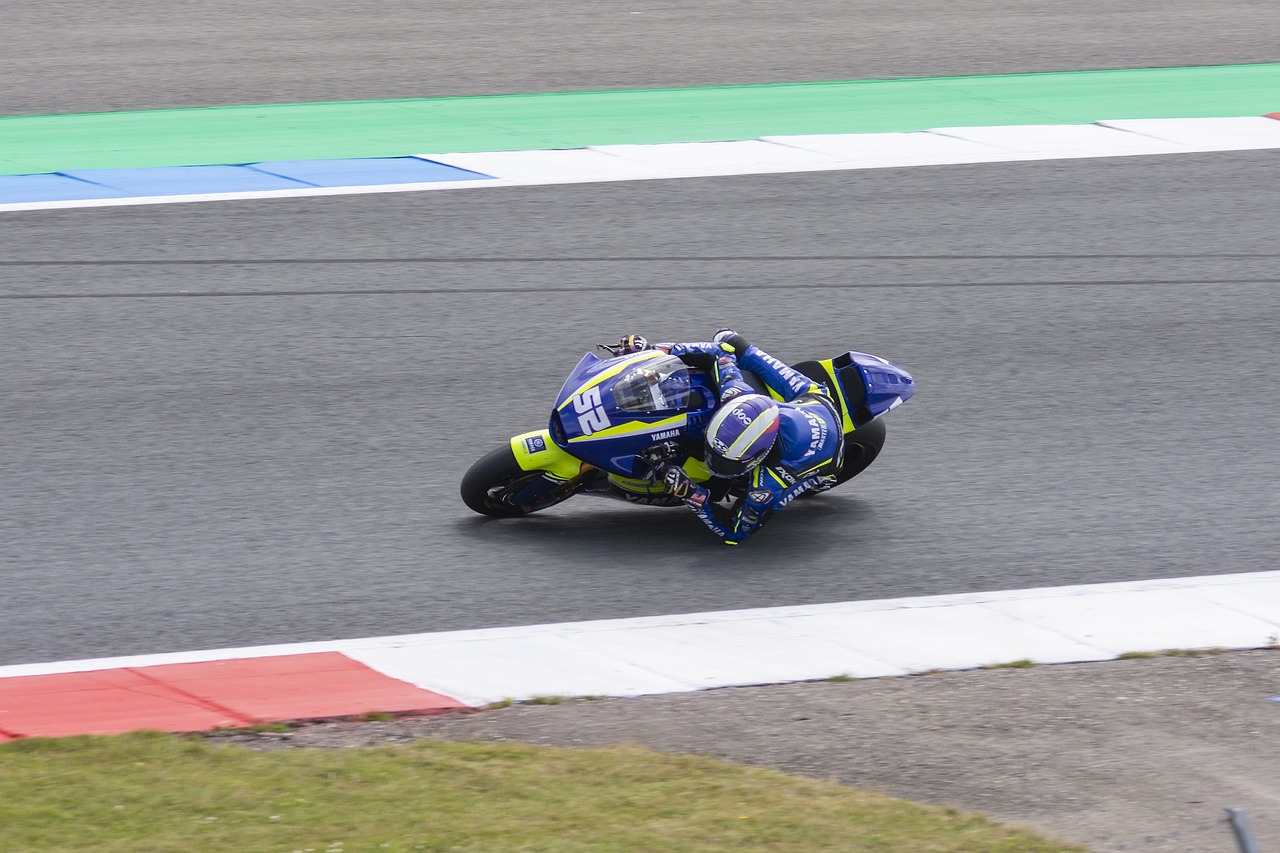 仅证明了他 仅证明了他